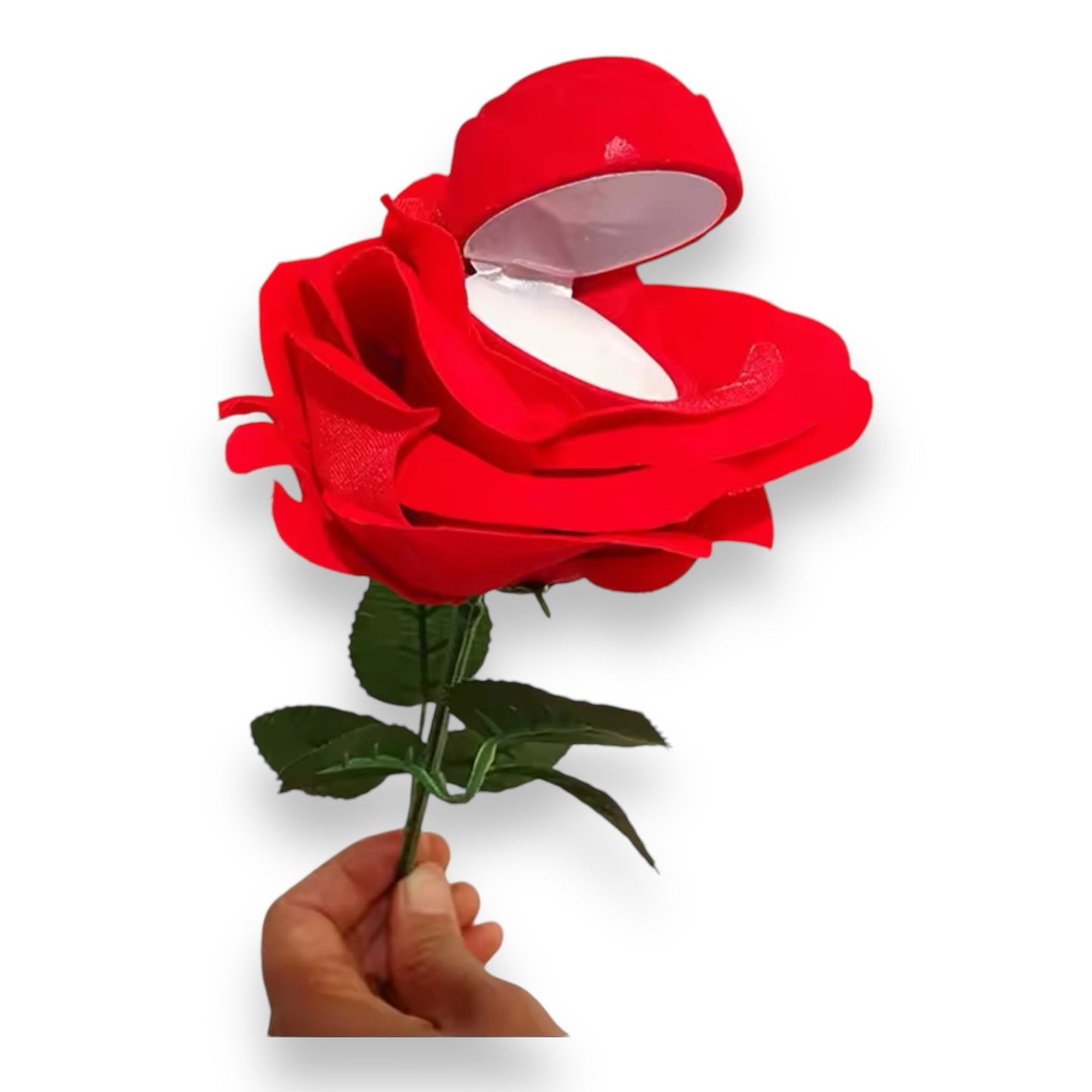 Kinky Pleasure - Deluxe trouwringroos