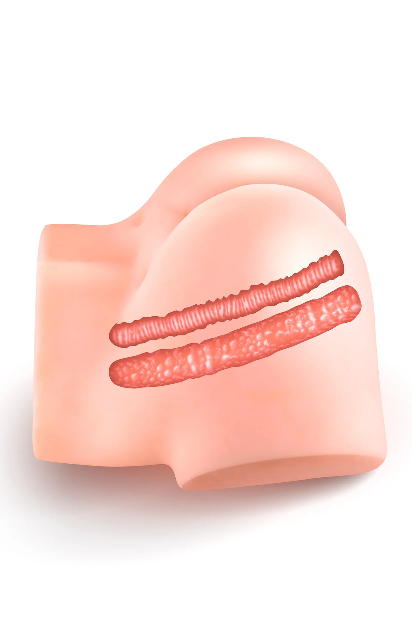 Real Body Nina – Unieke Realistische Masturbator met Zuigfunctie, Vibrerende Vagina & Anus – 3,5 kg