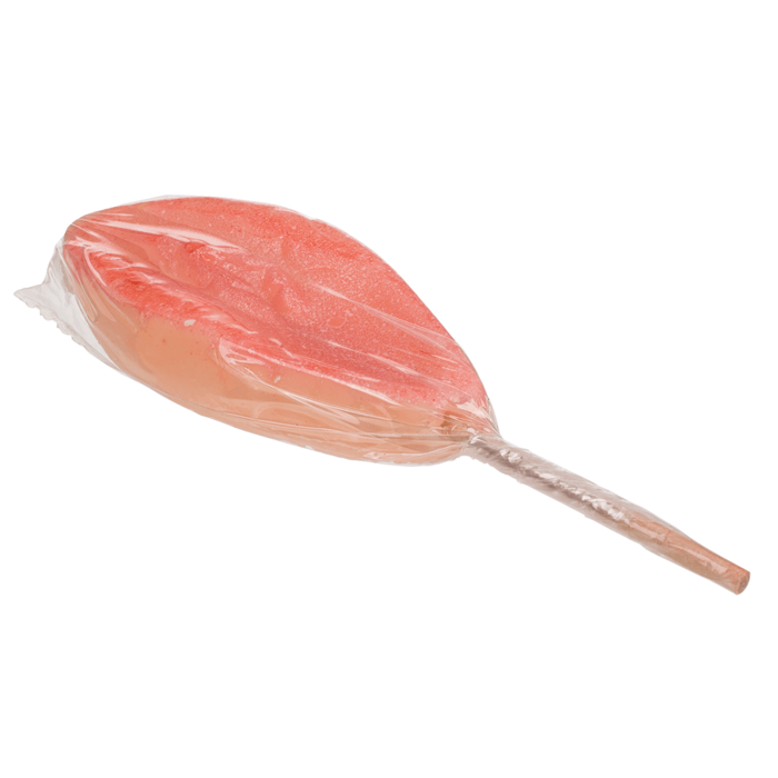 Pussy Lolly - Aardbeiensmaak - 50 gram - Speels en Verrukkelijk Snoepgoed