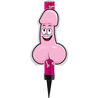 Maak jouw taartmoment onvergetelijk met de Kaars/Fontijn voor Taart met Grote Willy